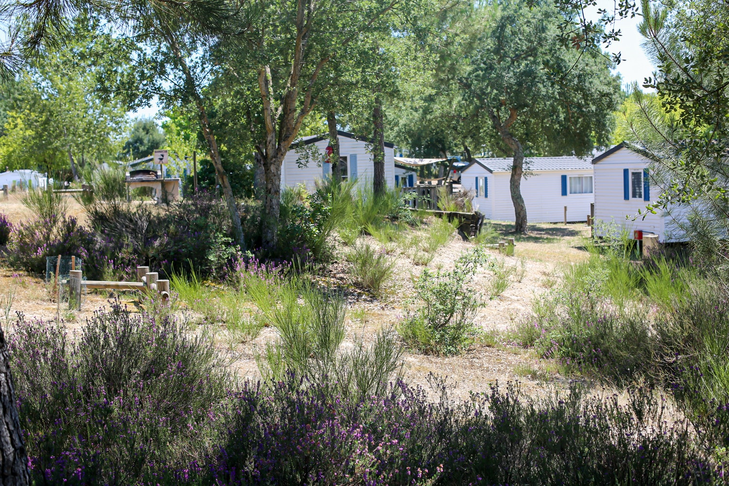 Casas móviles rodeadas de vegetación en el Camping Nature L'Airial