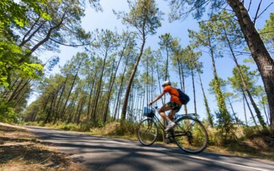 Top 5 des activités à faire en famille autour de Soustons pendant vos vacances au camping