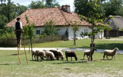 Marquèze Ecomuseum celebrates its 50th anniversary
