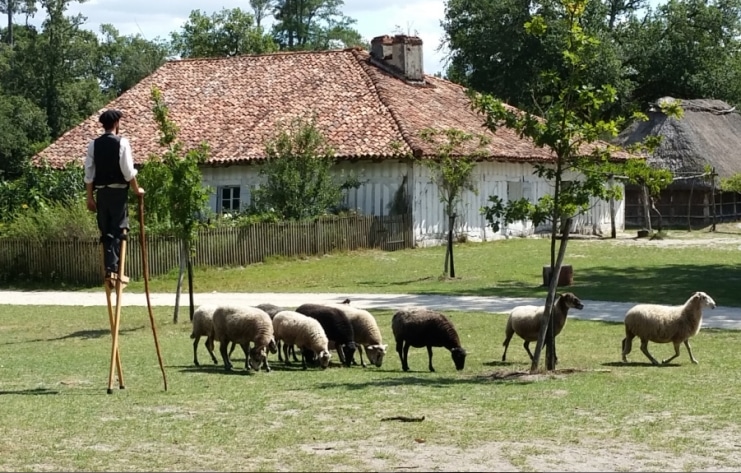 Marquèze Écomusée fête ses 50 ans