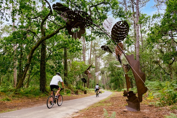 family bike ride