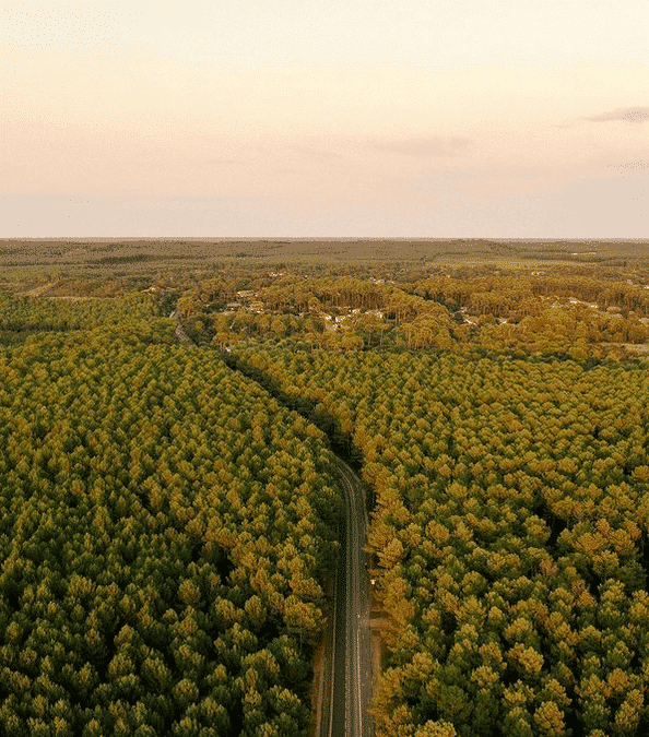 Nuestra naturaleza, nuestra libertad