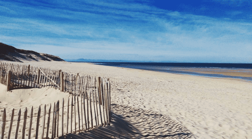 2 chevaux courent sur le sable, à la plage de Soustons