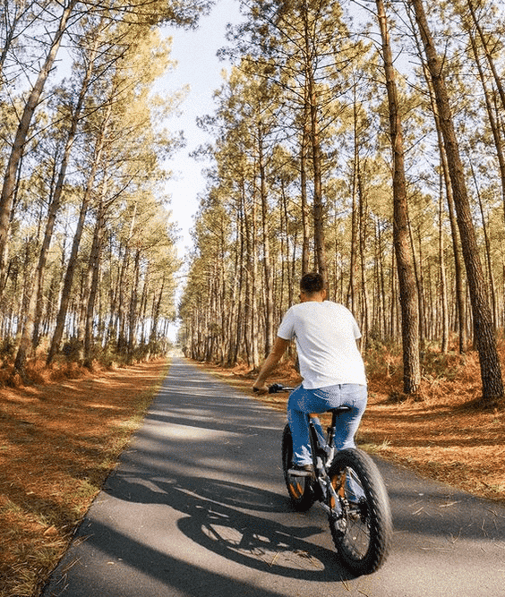 La Vélodyssée