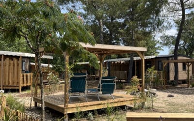 Vacances en pleine nature à Soustons : pourquoi choisir un camping « vert » dans les Landes ?
