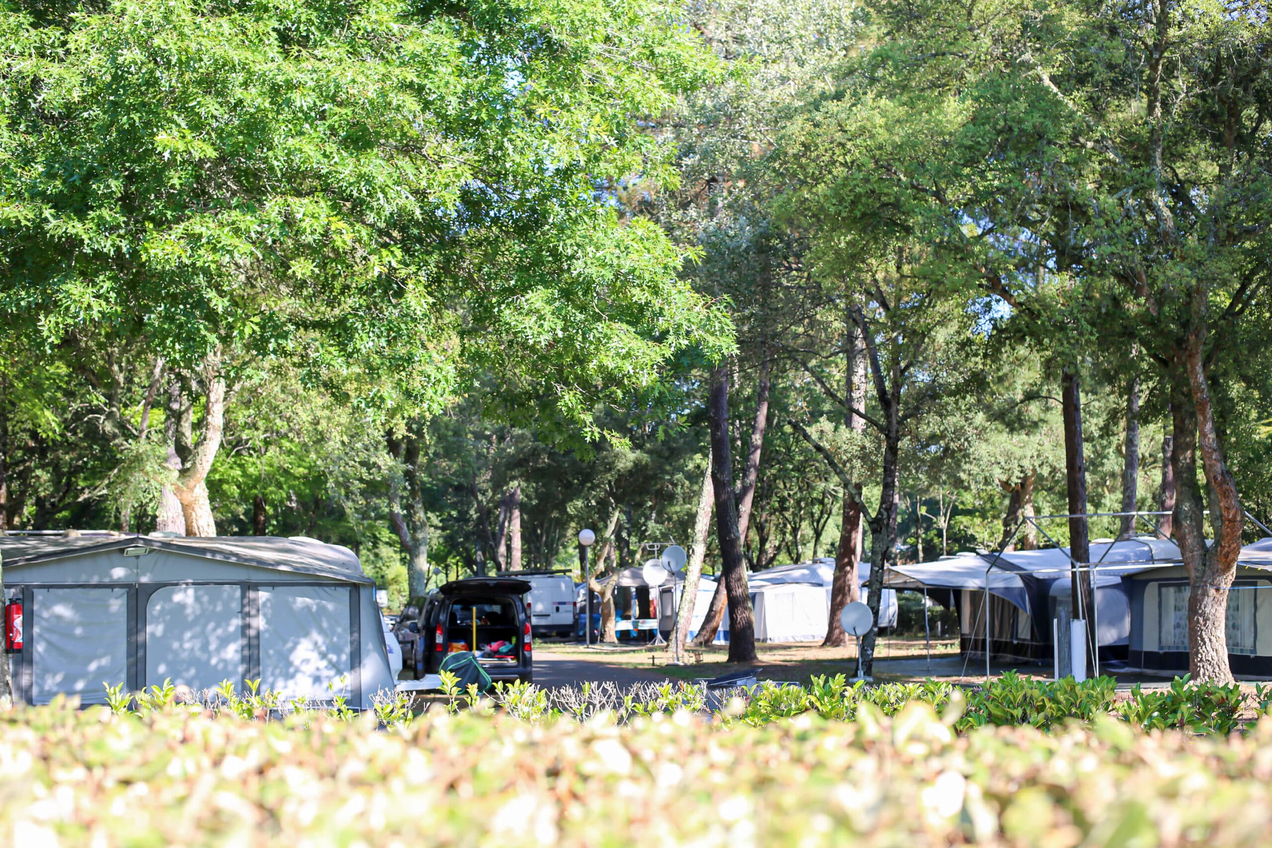 Emplacements électrifiés au Camping Nature l'Airial 4 étoiles à Soustons dans les Landes